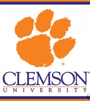 CLEMSON-UNIVERSITY-TIGERS-700-PAGE-NOTE-CUBE-NOTE-PAD-300x336
